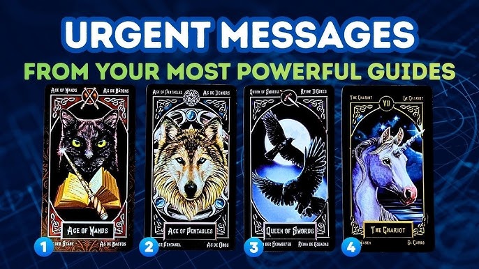 Choose any of the cards
